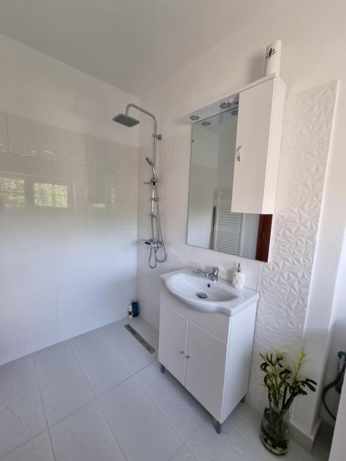 Toma Boutique Apartment Brasov